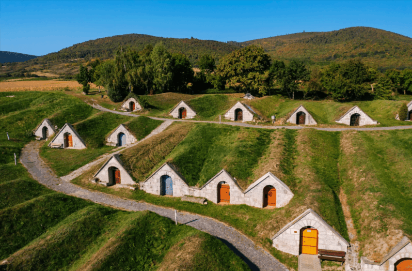  Wine Tasting in the Tokaj Hills: A Hungarian UNESCO Experience